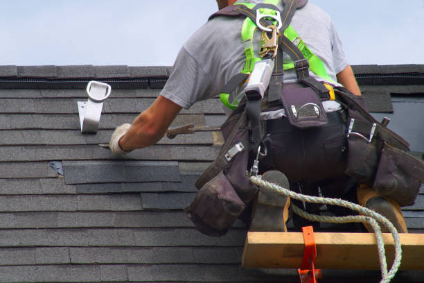 Best Shingle Roofing Installation  in Laguna Heights, TX